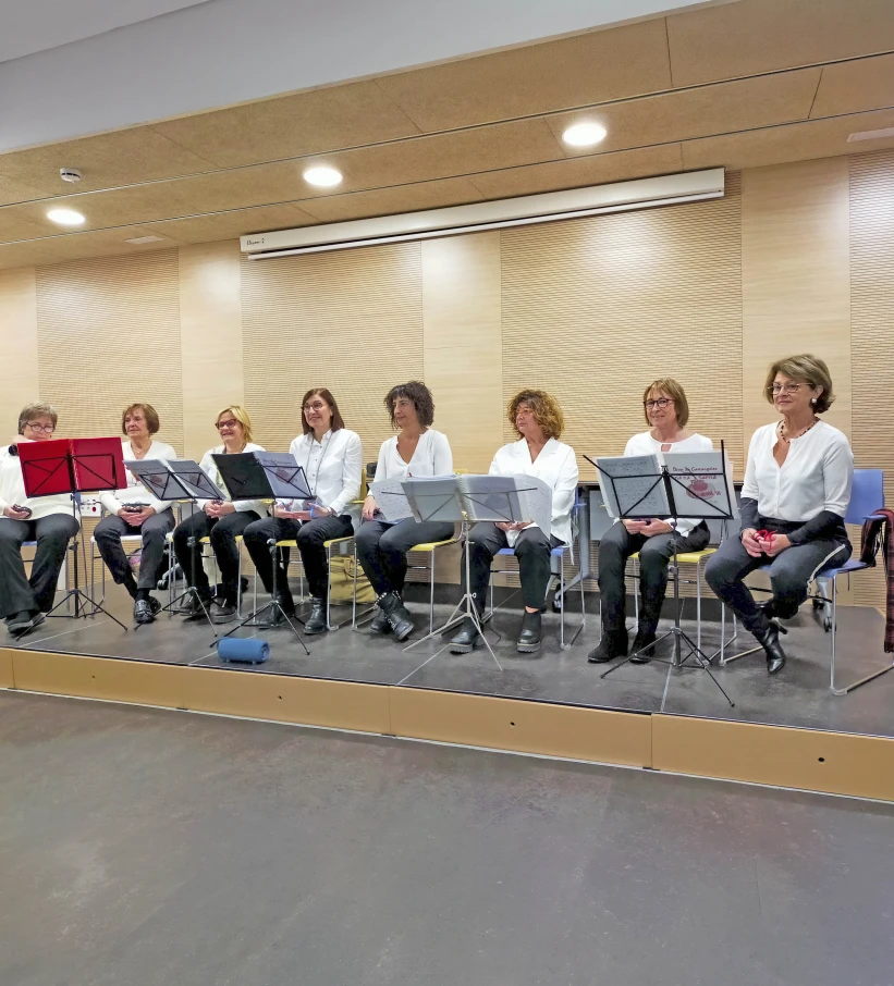 Concert de castanyoles